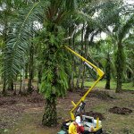 harvesting machine robot