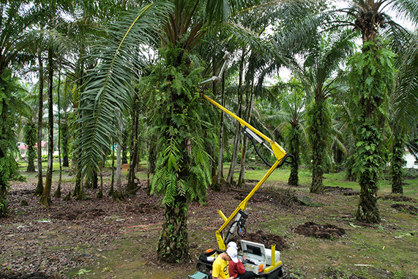 harvesting machine robot