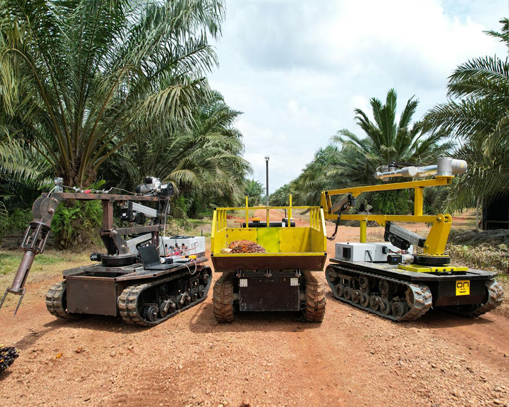 autonomy in oil palm plantation operations