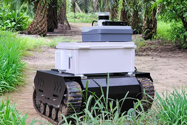 mapping expand robot oil palm