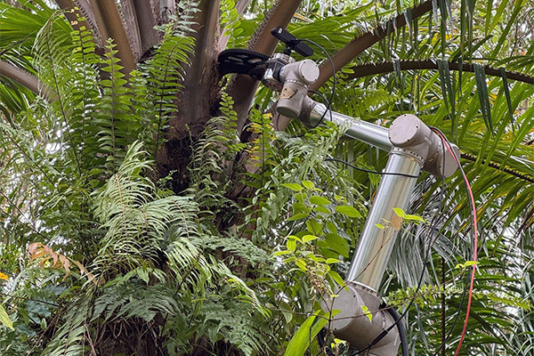 robotic arm harvesting